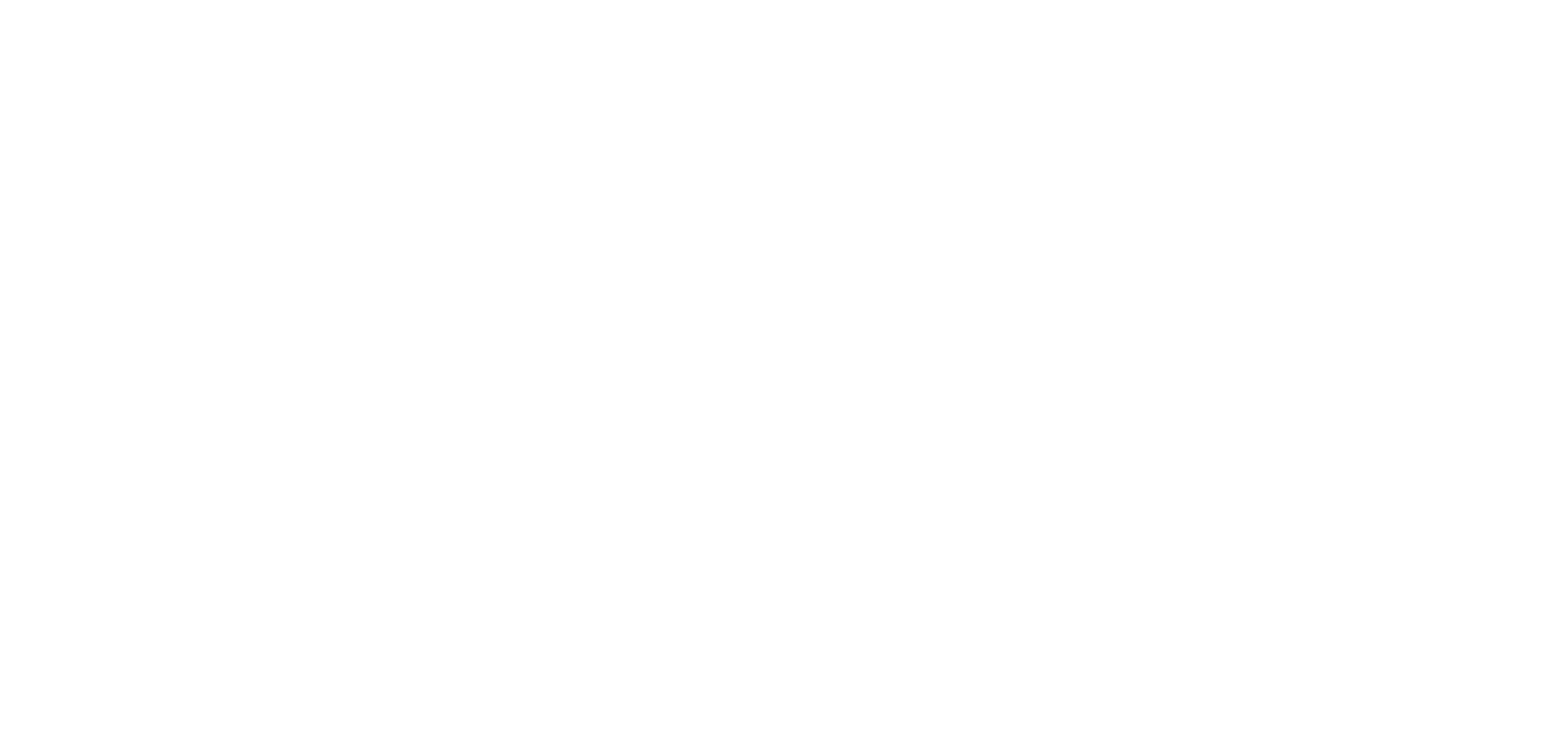 SP11 MANAGMENT